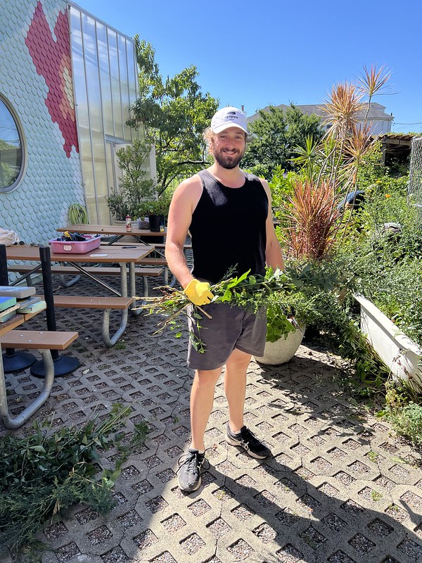 Jacob volunteering at Edible Schoolyard NYC